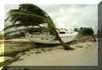 reuters25.jpg (80272 byte)